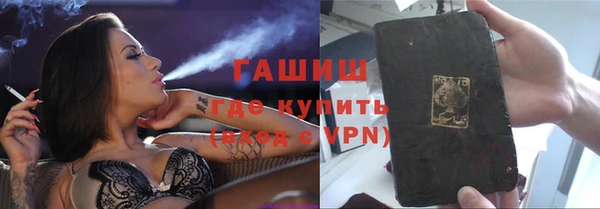 индика Новодвинск