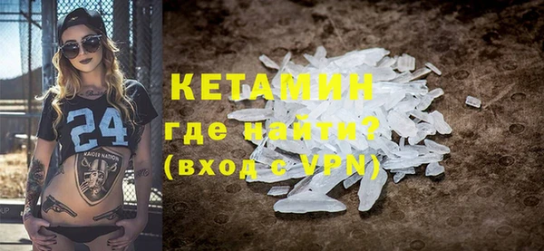 индика Новодвинск