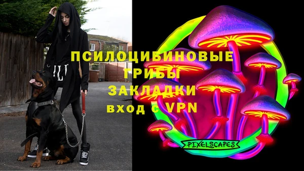 Альфа ПВП Новозыбков